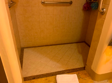 Accessible Shower (Roll In)